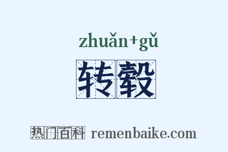 转毂是什么意思的图片